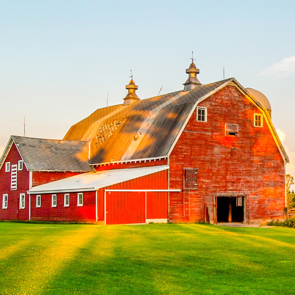 Farm frequently asked questions