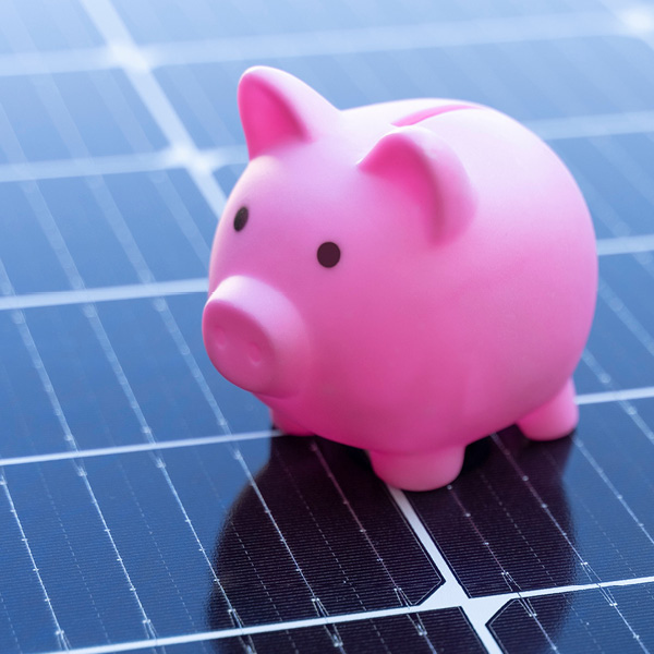 Costs and savings of renewable energy
